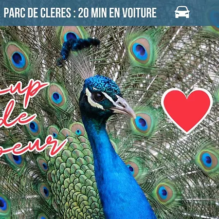 Voyage Au Calme à 10 Minutes Du Centre Avec Parking Inclus Et Fibre, Idéal Solo Et Pro Apartamento Ruan