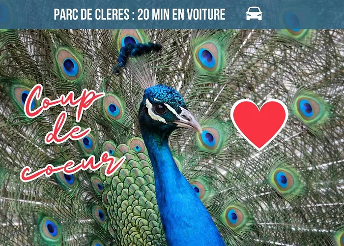 Voyage Au Calme à 10 Minutes Du Centre Avec Parking Inclus Et Fibre, Idéal Solo Et Pro Appartement Rouen